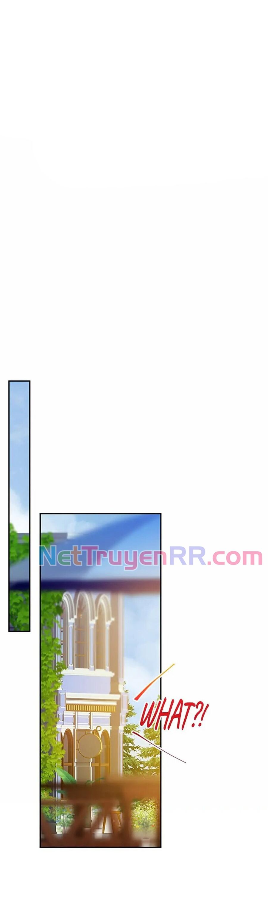 Cuộc Sống Xa Hoa Của Cô Nhân Tình Giả Chapter 33 - 19