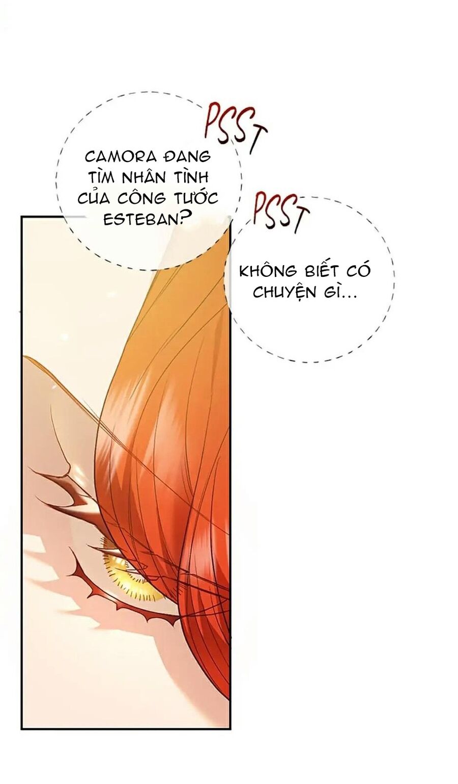 Cuộc Sống Xa Hoa Của Cô Nhân Tình Giả Chapter 33 - 28