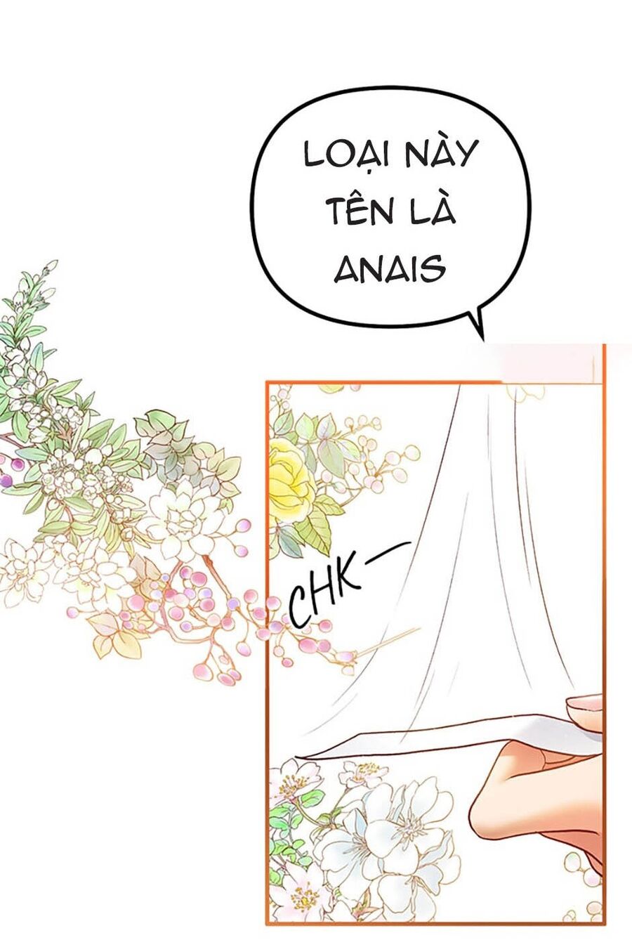 Cuộc Sống Xa Hoa Của Cô Nhân Tình Giả Chapter 46 - 36