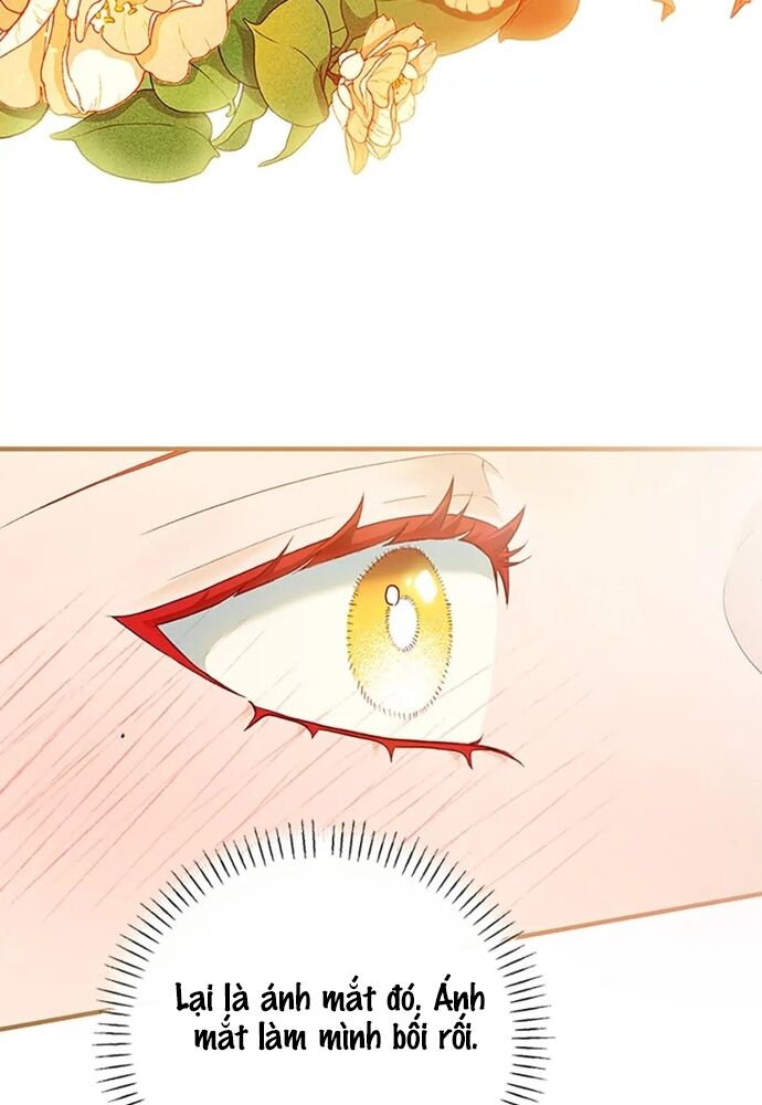 Cuộc Sống Xa Hoa Của Cô Nhân Tình Giả Chapter 65 - 58