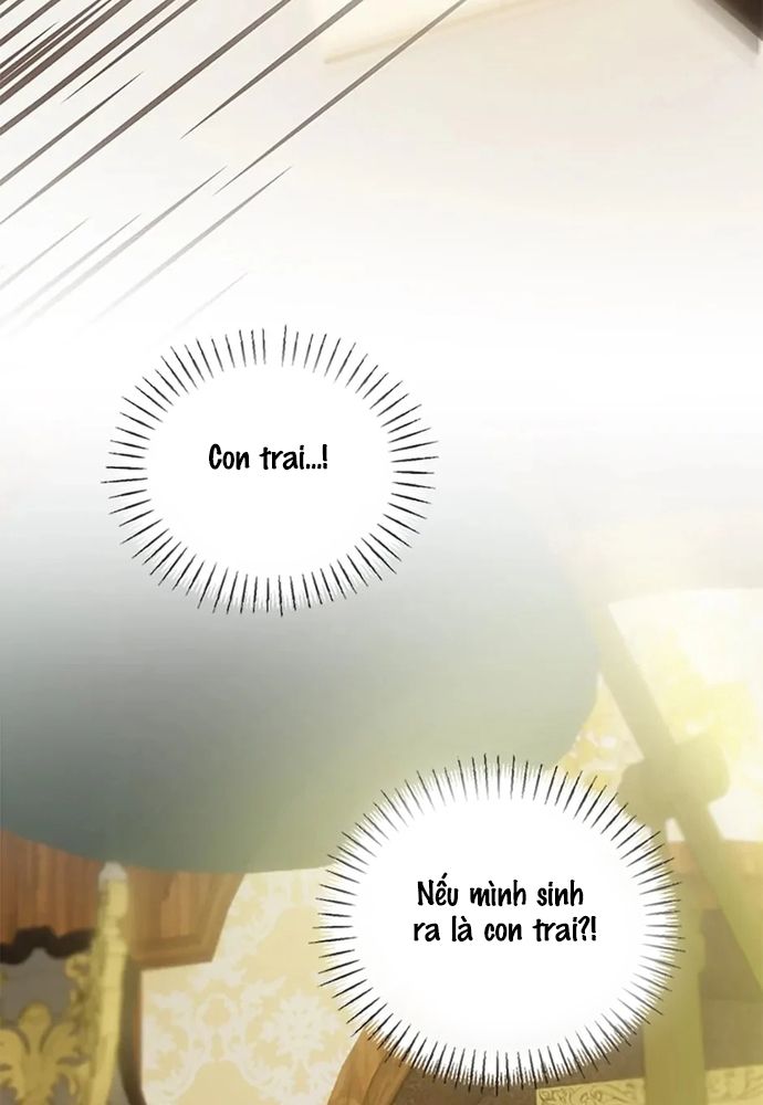 Cuộc Sống Xa Hoa Của Cô Nhân Tình Giả Chapter 67 - 81