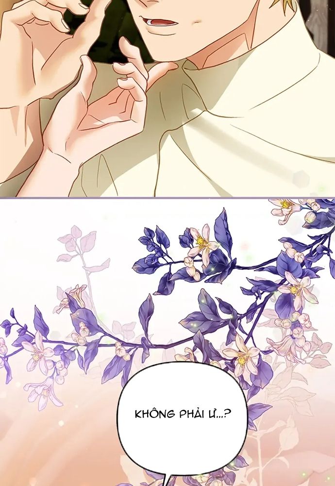 Cuộc Sống Xa Hoa Của Cô Nhân Tình Giả Chapter 77 - 48