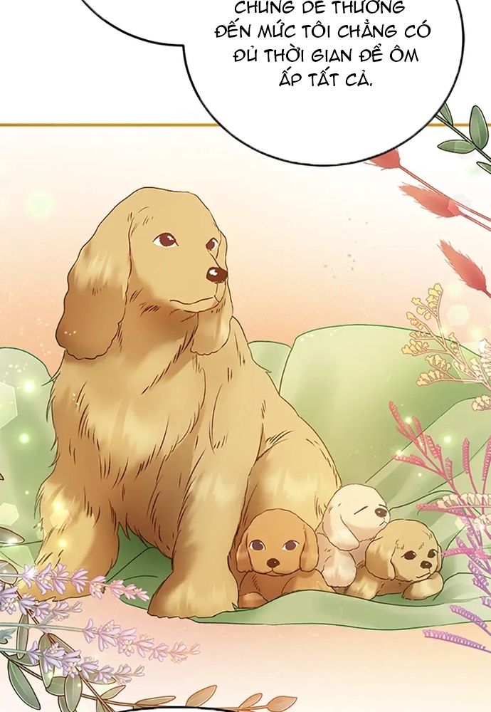 Cuộc Sống Xa Hoa Của Cô Nhân Tình Giả Chapter 86 - 99