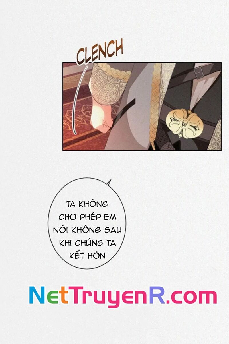 Hợp Đồng Hôn Nhân Với Công Tước Bất Lực Chapter 1 - 42