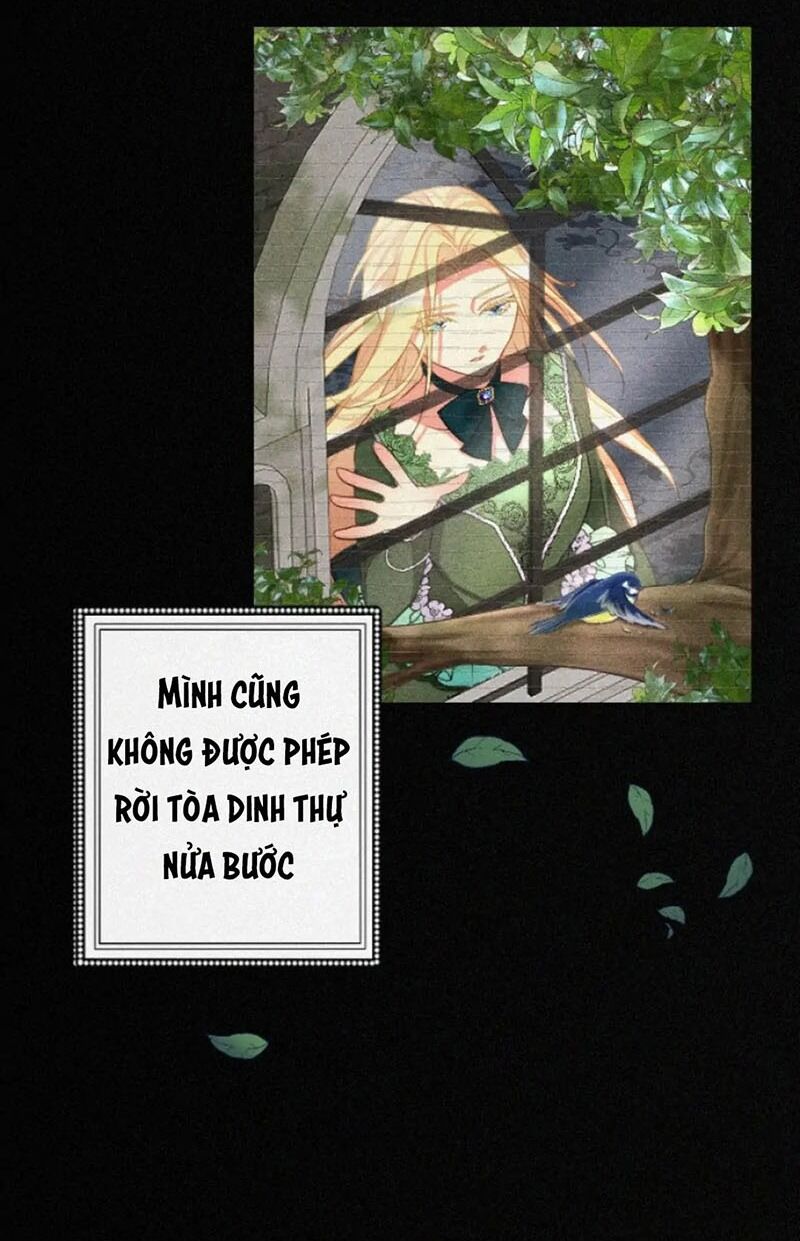 Hợp Đồng Hôn Nhân Với Công Tước Bất Lực Chapter 1 - 48