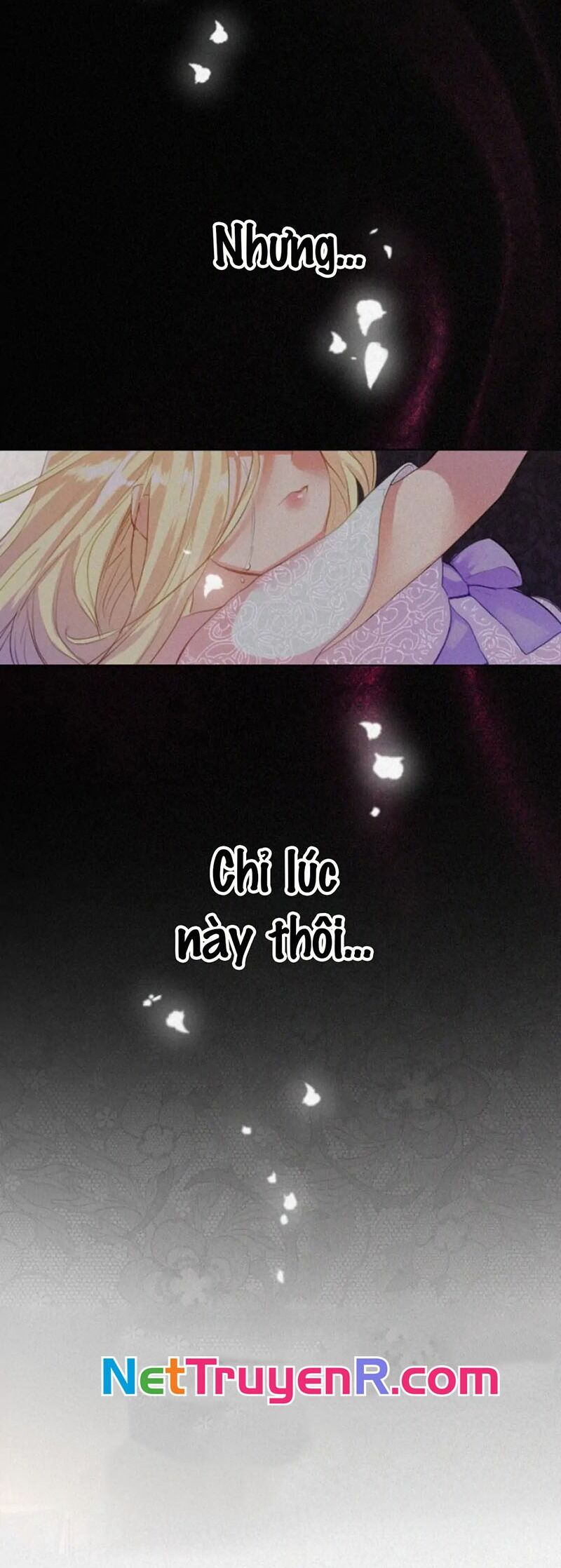 Hợp Đồng Hôn Nhân Với Công Tước Bất Lực Chapter 1 - 8