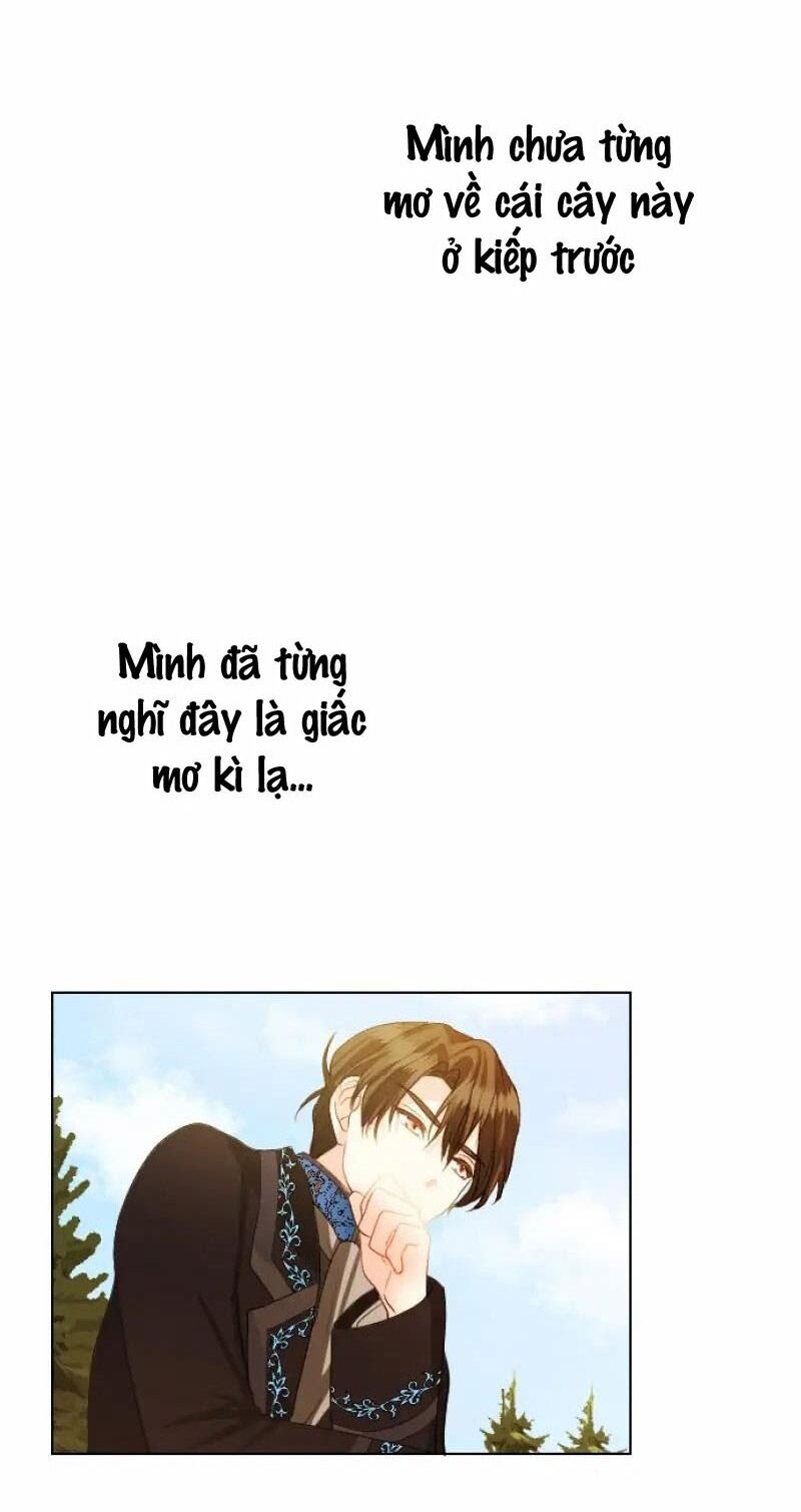 Hợp Đồng Hôn Nhân Với Công Tước Bất Lực Chapter 12 - 82