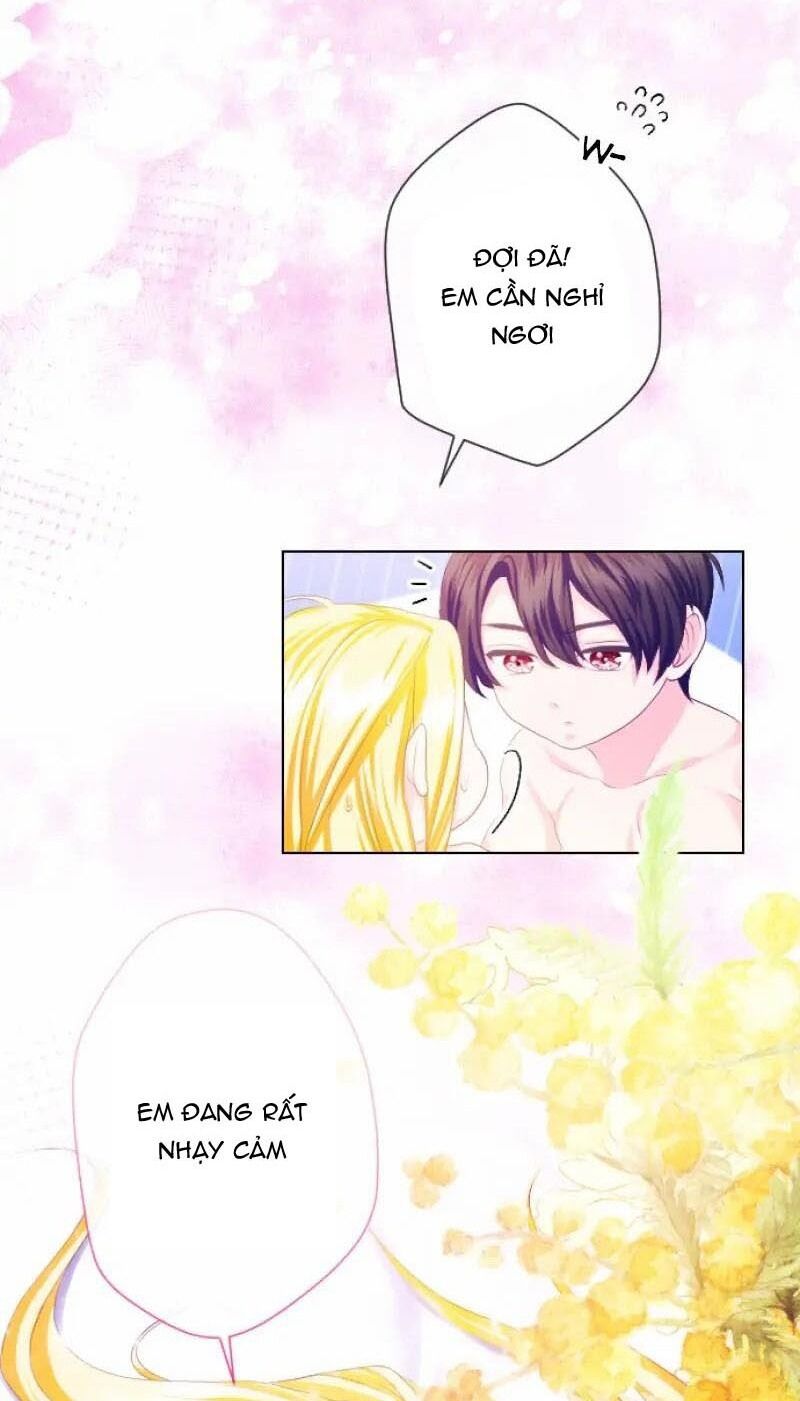 Hợp Đồng Hôn Nhân Với Công Tước Bất Lực Chapter 15 - 40