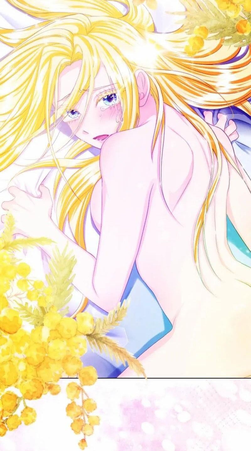 Hợp Đồng Hôn Nhân Với Công Tước Bất Lực Chapter 15 - 41