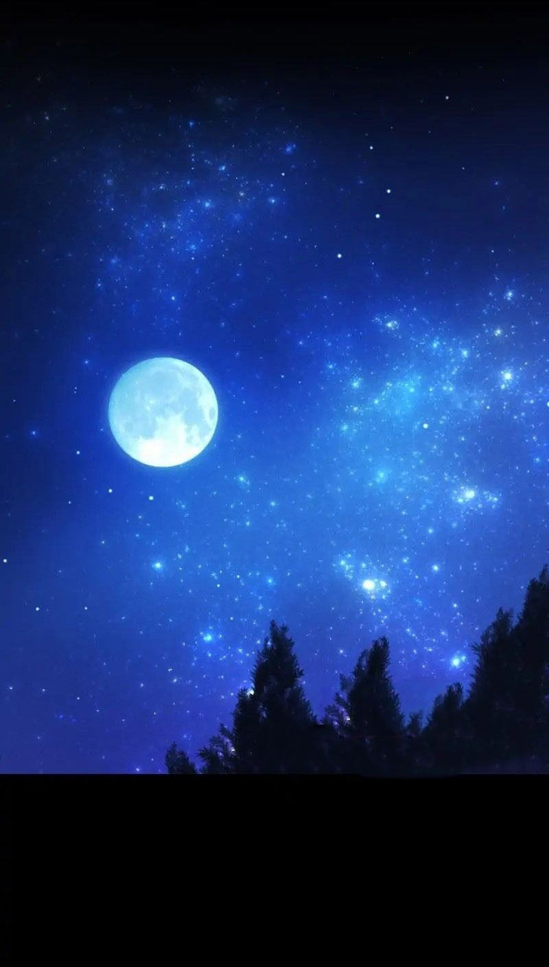 Hợp Đồng Hôn Nhân Với Công Tước Bất Lực Chapter 2 - 2