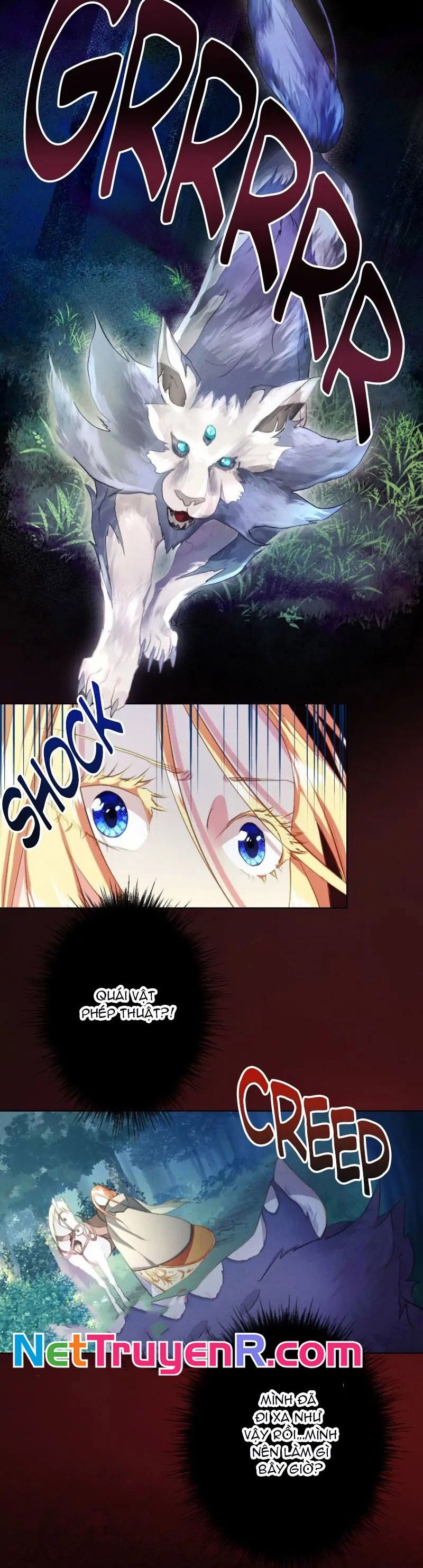 Hợp Đồng Hôn Nhân Với Công Tước Bất Lực Chapter 2 - 11