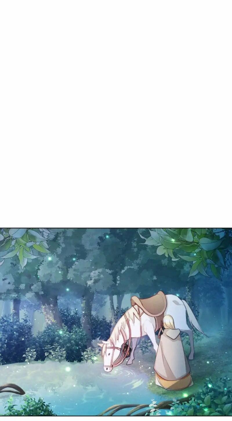 Hợp Đồng Hôn Nhân Với Công Tước Bất Lực Chapter 2 - 8