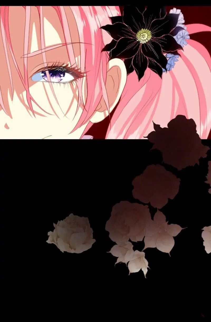 Hợp Đồng Hôn Nhân Với Công Tước Bất Lực Chapter 5 - 13