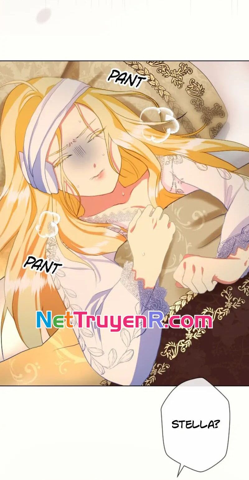 Hợp Đồng Hôn Nhân Với Công Tước Bất Lực Chapter 5 - 48