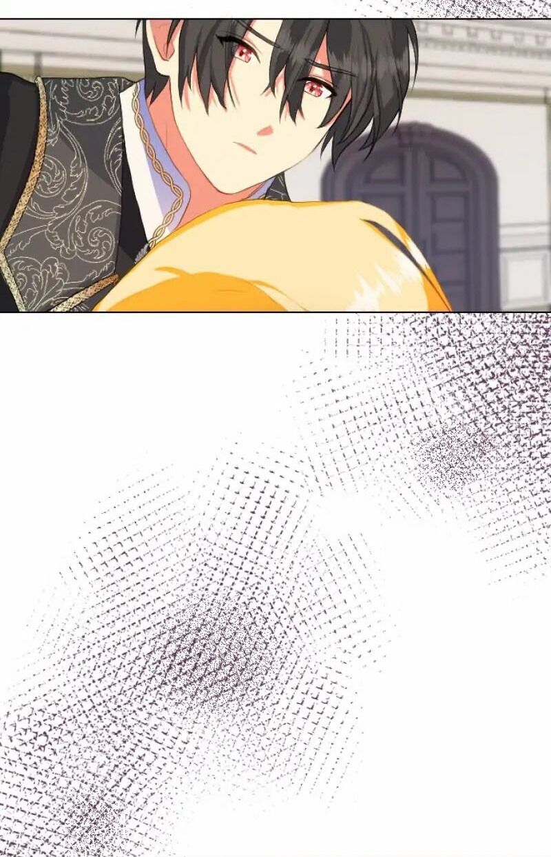 Hợp Đồng Hôn Nhân Với Công Tước Bất Lực Chapter 5 - 56