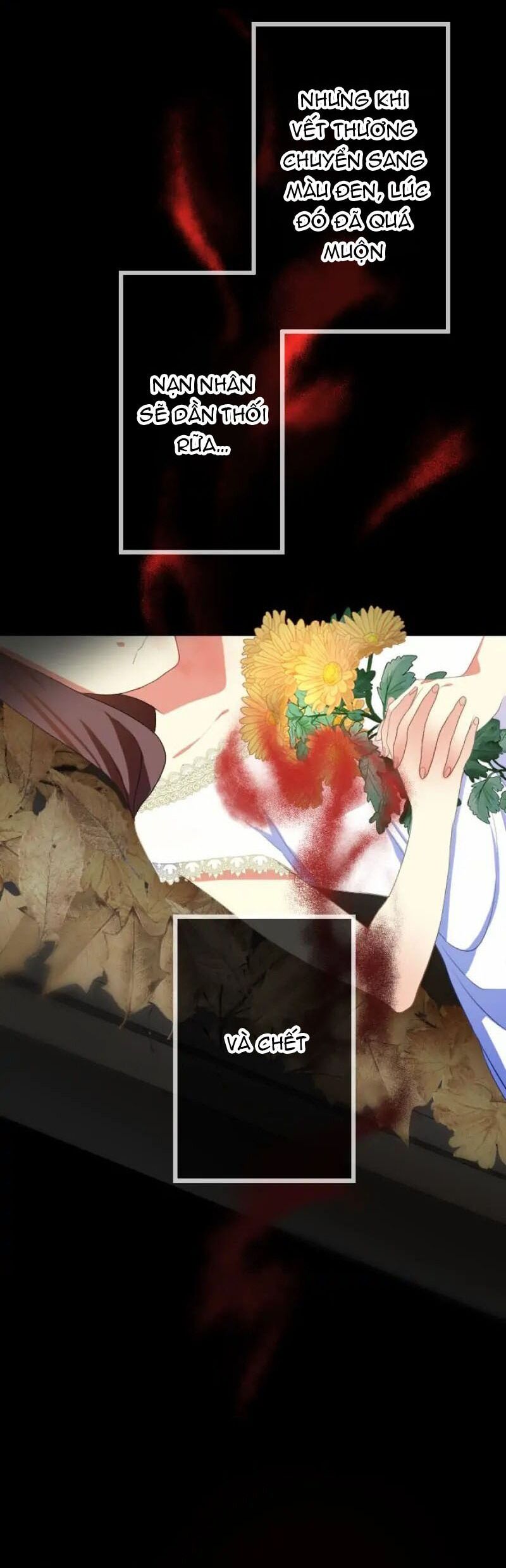 Hợp Đồng Hôn Nhân Với Công Tước Bất Lực Chapter 5 - 10