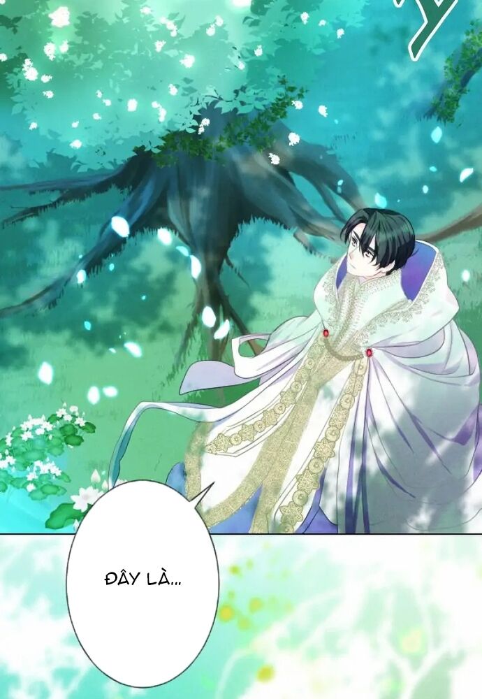 Hợp Đồng Hôn Nhân Với Công Tước Bất Lực Chapter 8 - 25