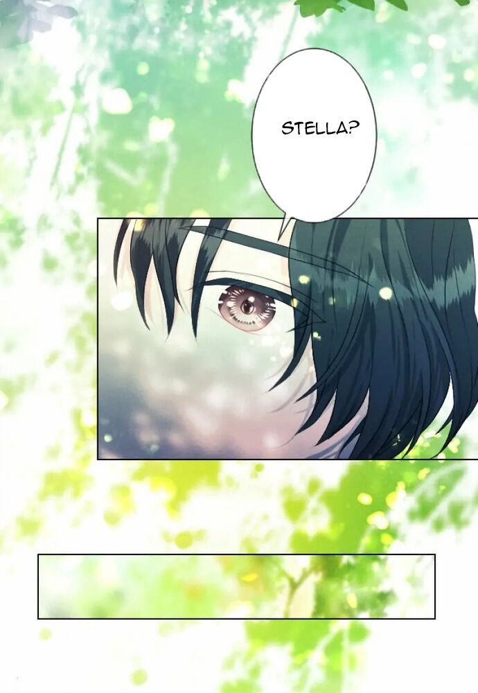 Hợp Đồng Hôn Nhân Với Công Tước Bất Lực Chapter 8 - 31