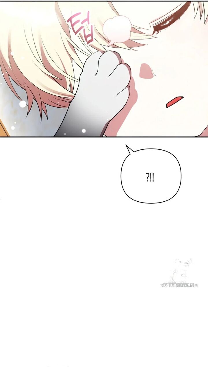 Đại Phản Diện Mà Nam Chính Phải Giết Là Tôi. Chapter 17 - 6