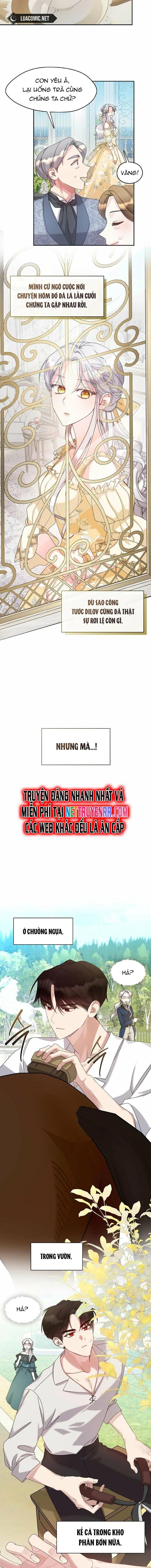 Tình Yêu Hỡi, Sao Người Lại Hối Hận Rồi? Chapter 10 - 10