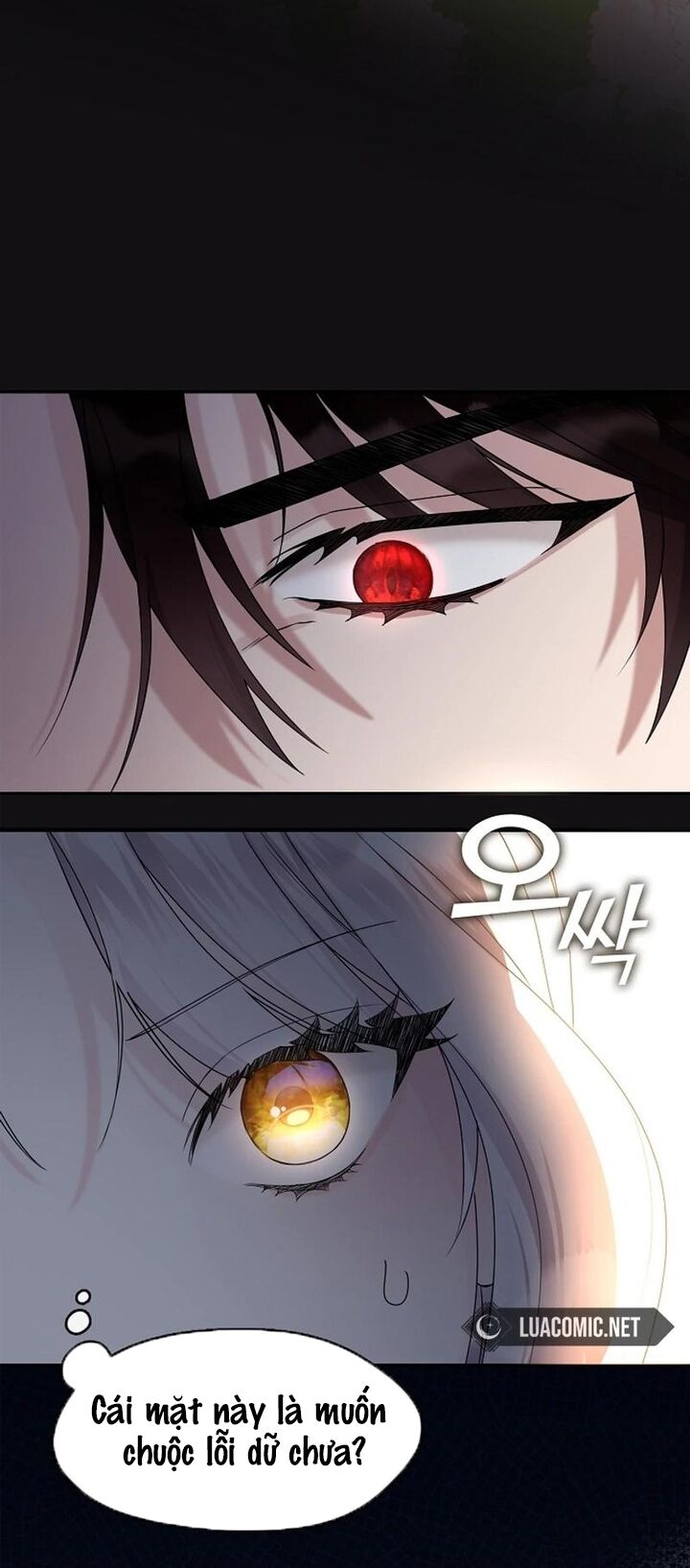 Tình Yêu Hỡi, Sao Người Lại Hối Hận Rồi? Chapter 18 - 15