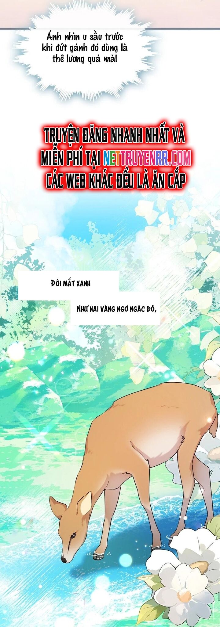 Tình Yêu Hỡi, Sao Người Lại Hối Hận Rồi? Chapter 19 - 8