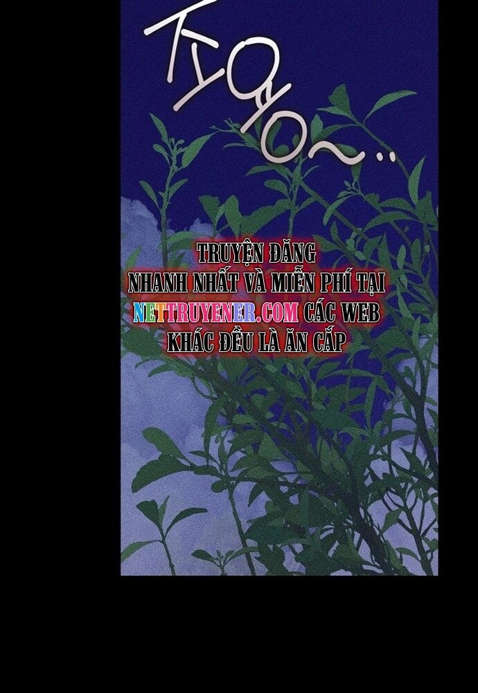 Tình Yêu Hỡi, Sao Người Lại Hối Hận Rồi? Chapter 27 - 19