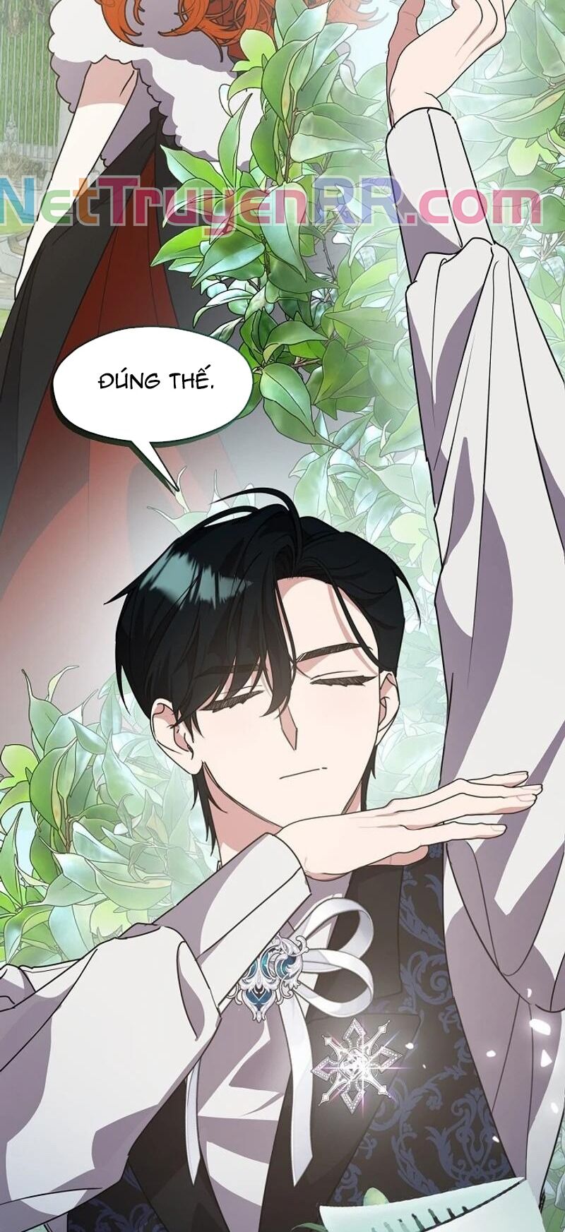 Tình Yêu Hỡi, Sao Người Lại Hối Hận Rồi? Chapter 29 - 26