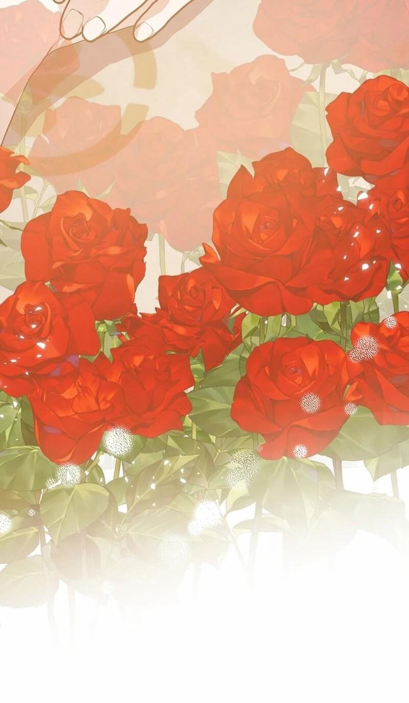 Tình Yêu Hỡi, Sao Người Lại Hối Hận Rồi? Chapter 29 - 5