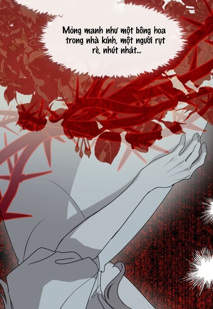 Tình Yêu Hỡi, Sao Người Lại Hối Hận Rồi? Chapter 44 - 47