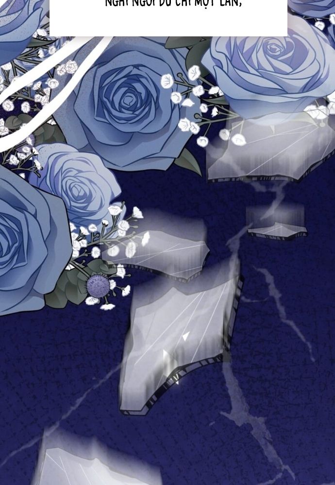 Tình Yêu Hỡi, Sao Người Lại Hối Hận Rồi? Chapter 44 - 98