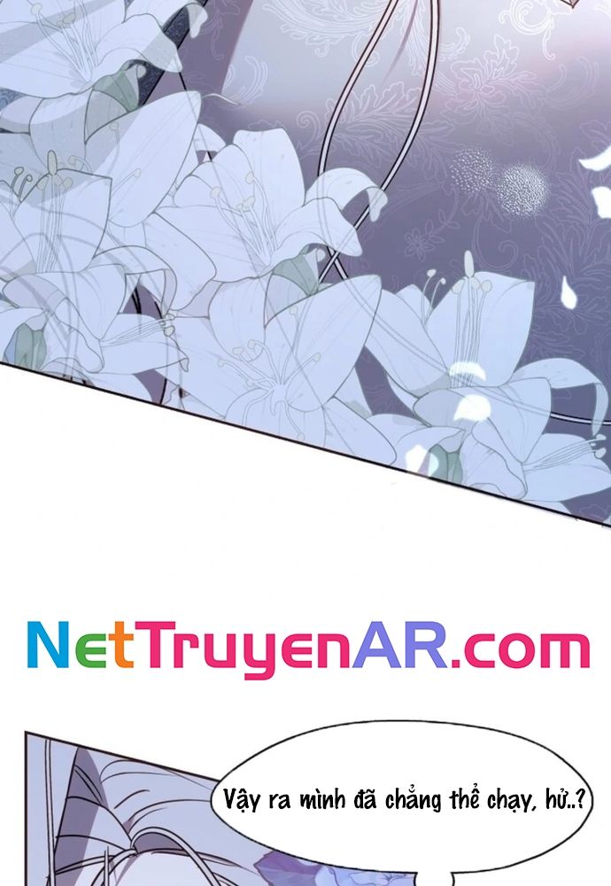 Tình Yêu Hỡi, Sao Người Lại Hối Hận Rồi? Chapter 50 - 105