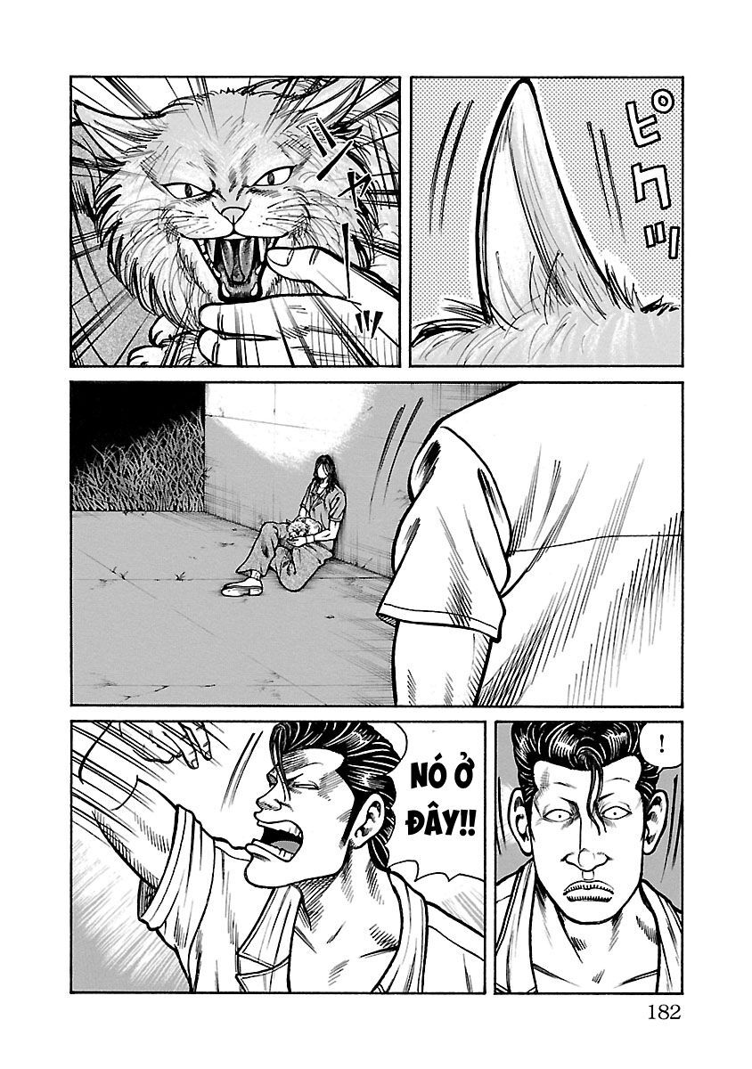 Ngoại Truyện Crows Housenka: Sự Khởi Đầu Của Housen Chapter 27 - 40