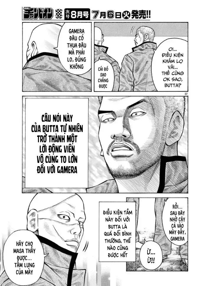 Ngoại Truyện Crows Housenka: Sự Khởi Đầu Của Housen Chapter 43 - 33