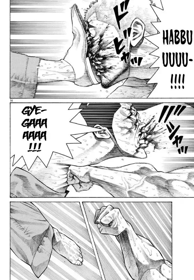 Ngoại Truyện Crows Housenka: Sự Khởi Đầu Của Housen Chapter 45 - 13