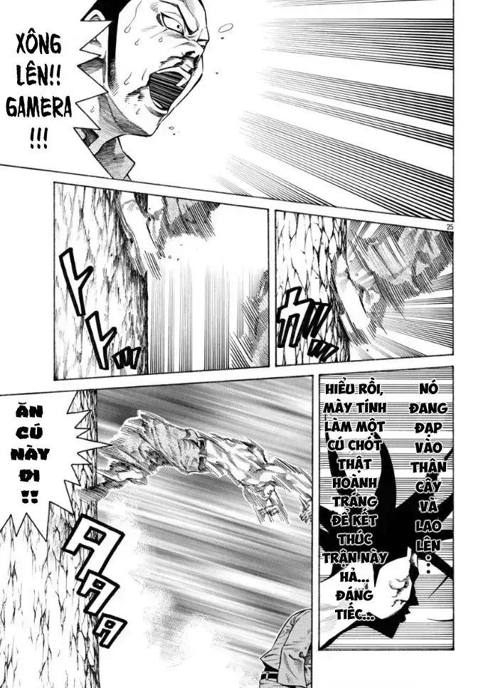 Ngoại Truyện Crows Housenka: Sự Khởi Đầu Của Housen Chapter 45 - 24