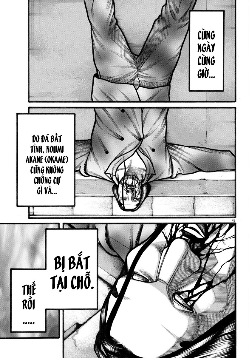 Ngoại Truyện Crows Housenka: Sự Khởi Đầu Của Housen Chapter 73 - 40