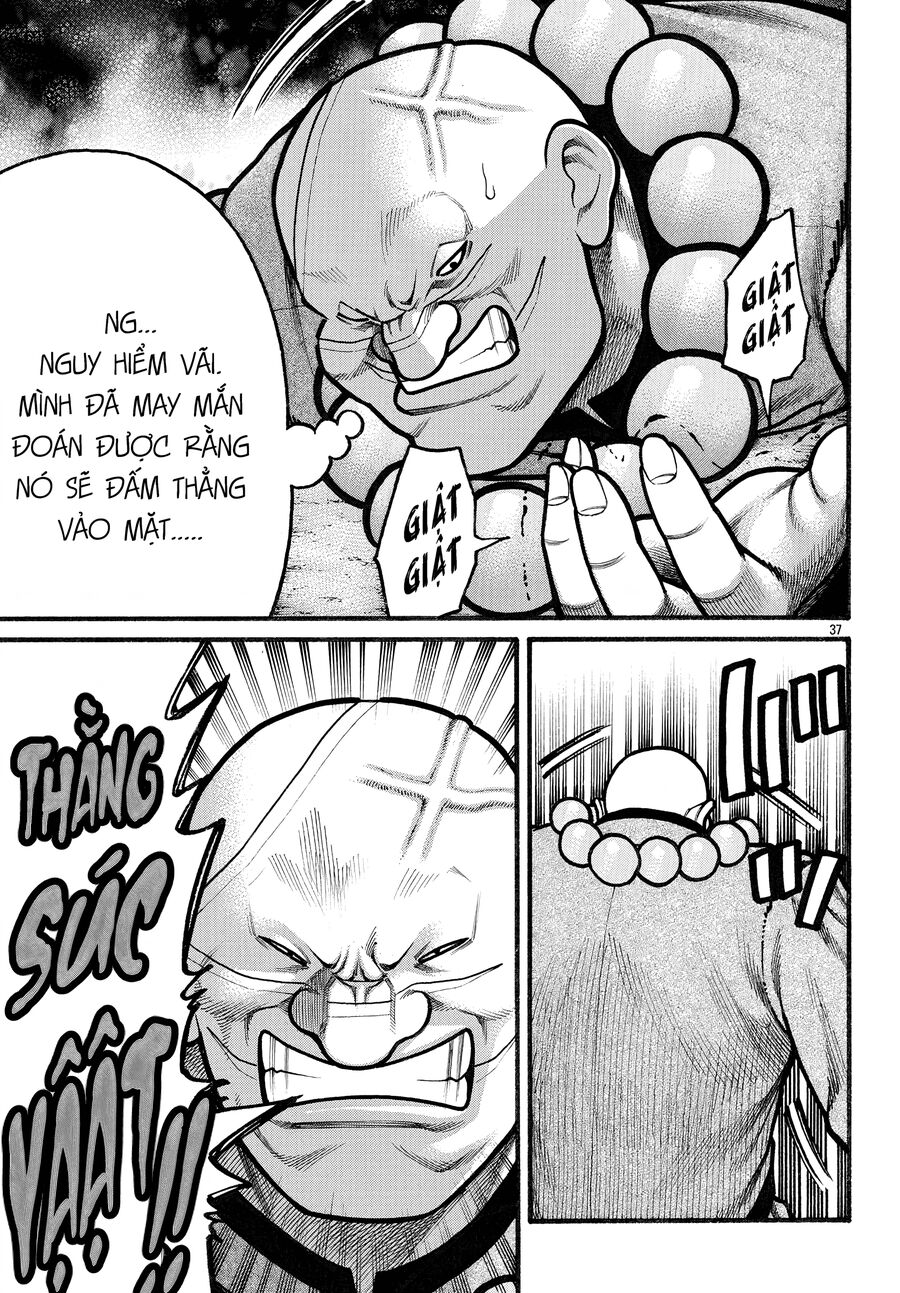 Ngoại Truyện Crows Housenka: Sự Khởi Đầu Của Housen Chapter 81 - 32