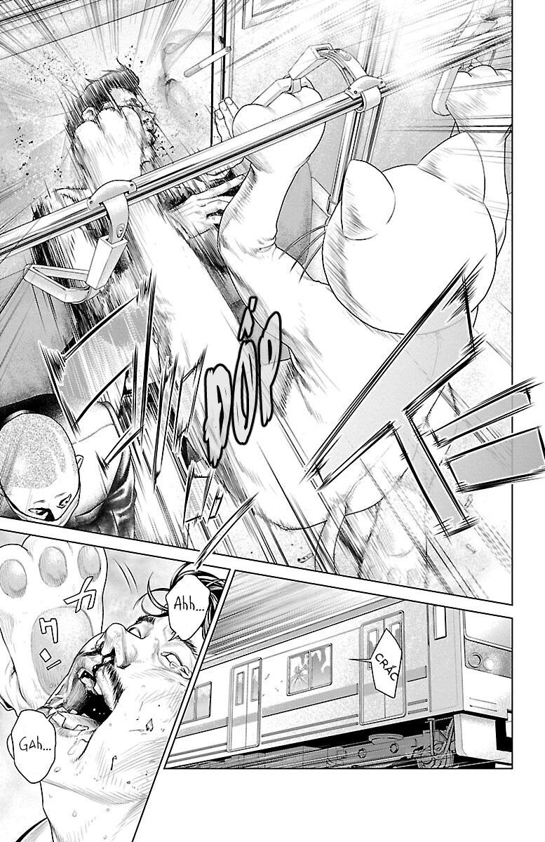 Kiến Vua Chapter 1 - 12