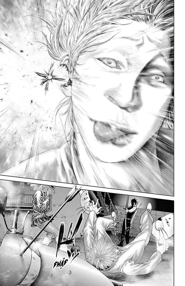 Kiến Vua Chapter 1 - 42