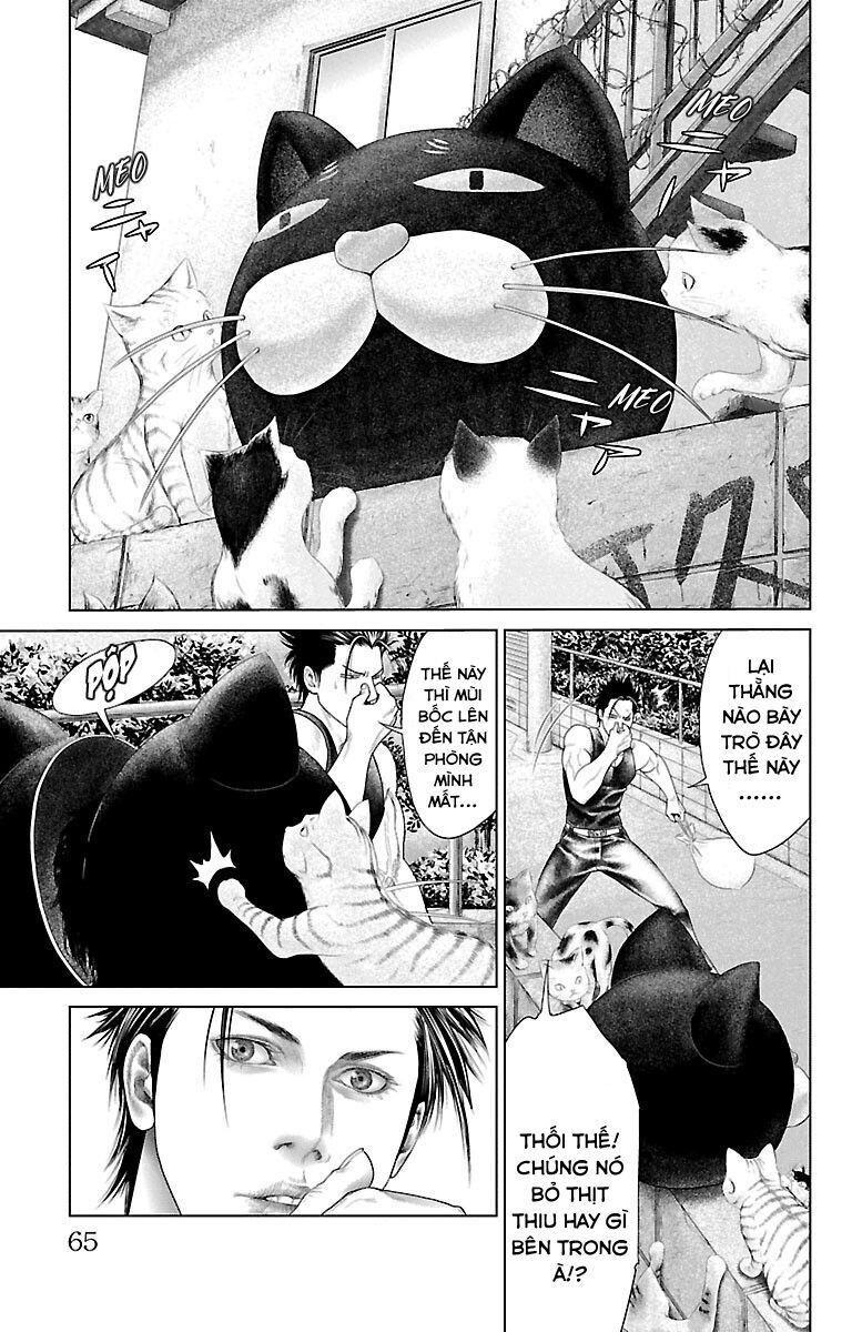 Kiến Vua Chapter 1 - 63