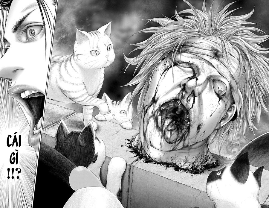 Kiến Vua Chapter 1 - 64