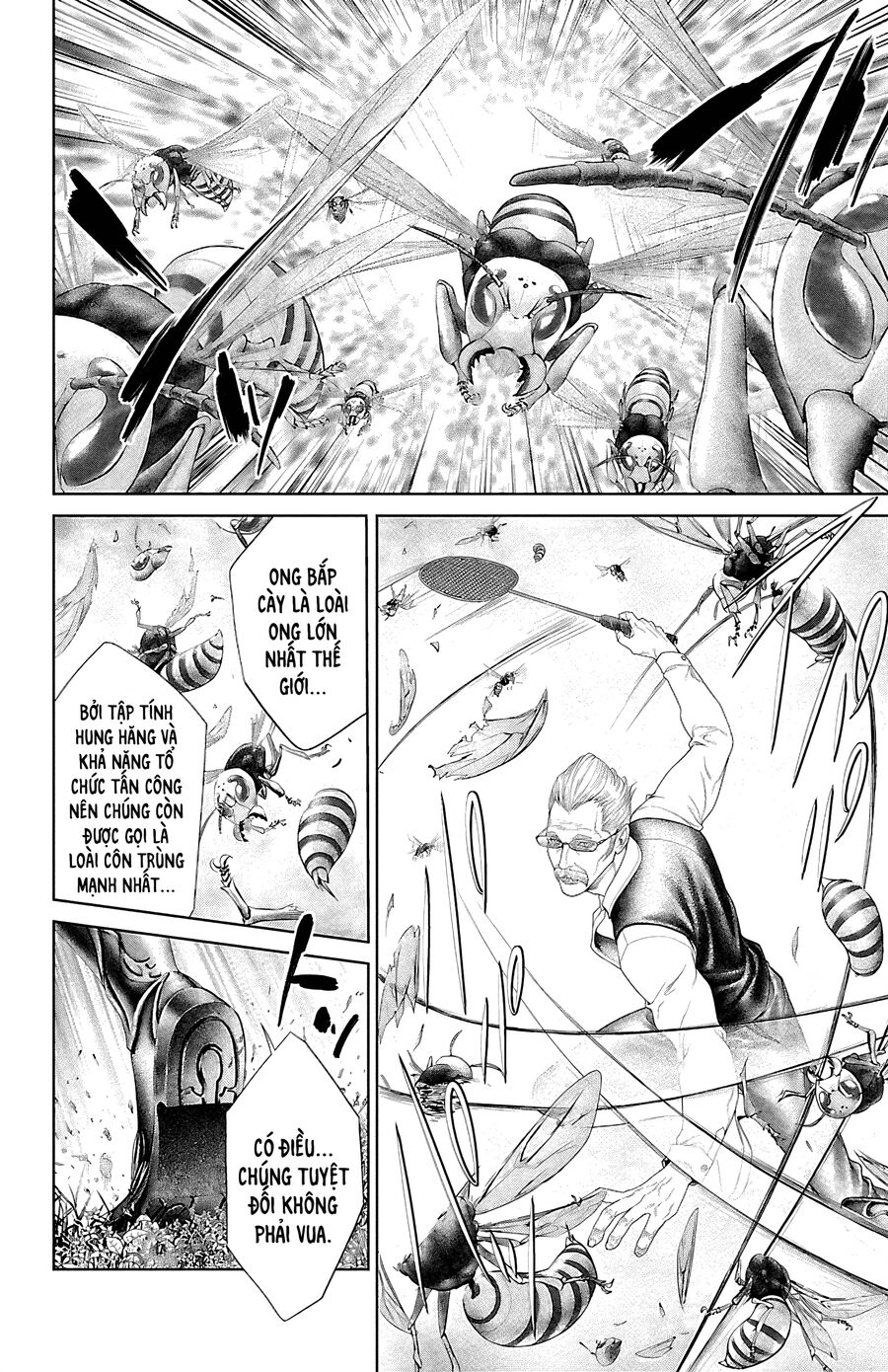 Kiến Vua Chapter 5 - 24