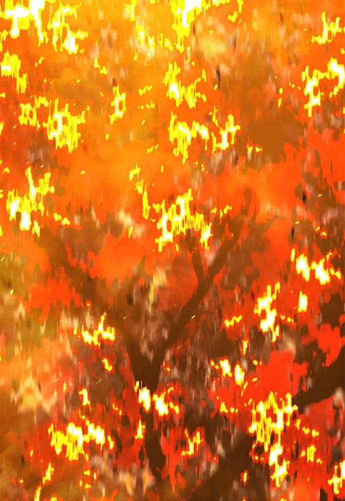 Tiểu Thuyết Đầu Tay Của Ác Nữ Chapter 49 - 104