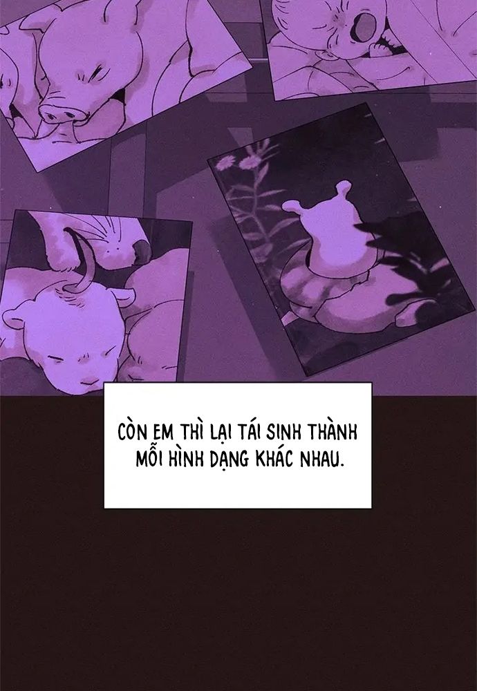 Tiểu Thuyết Đầu Tay Của Ác Nữ Chapter 59 - 35