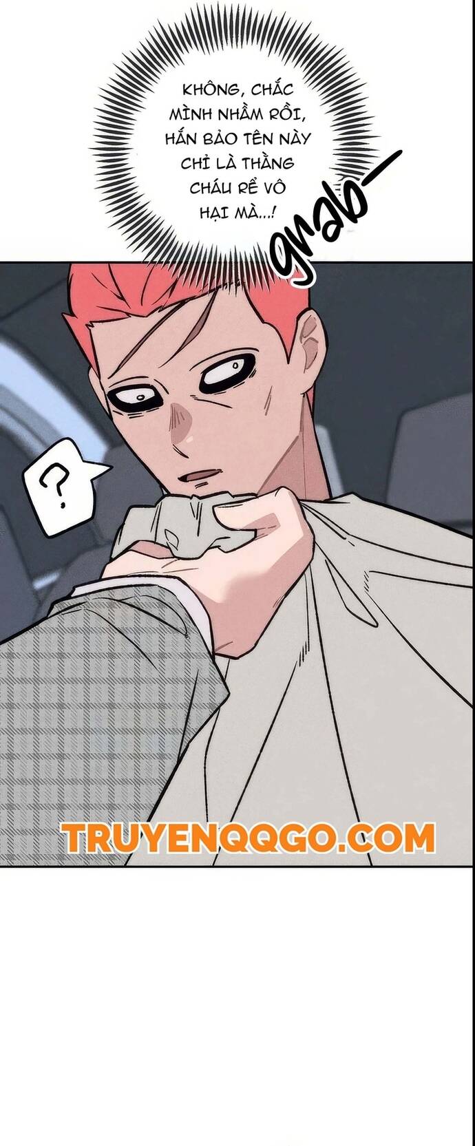Chàng Rể Quỷ Quyệt Chapter 16 - 21