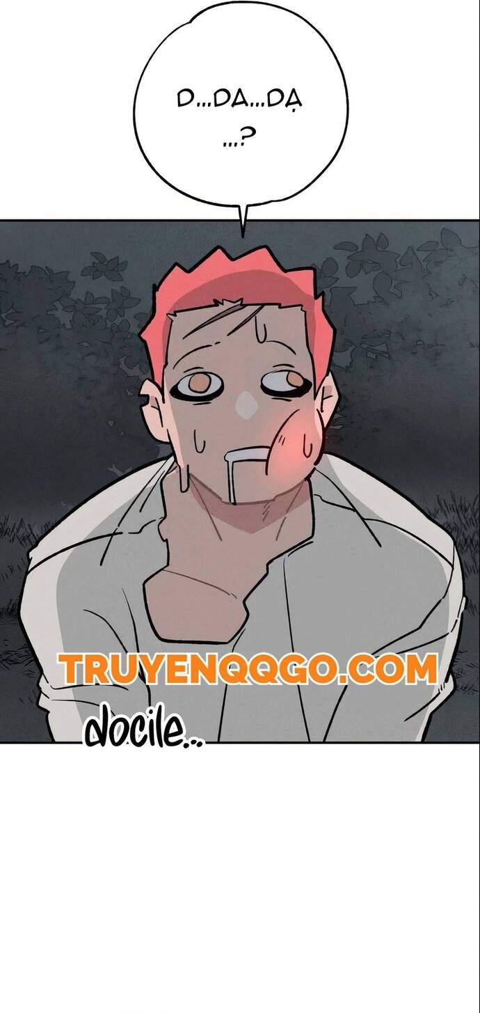 Chàng Rể Quỷ Quyệt Chapter 16 - 52