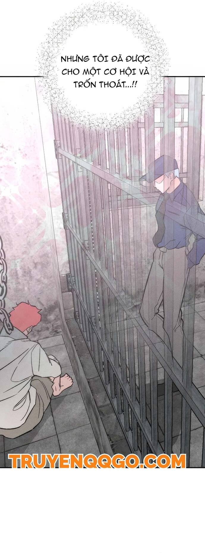 Chàng Rể Quỷ Quyệt Chapter 17 - 9