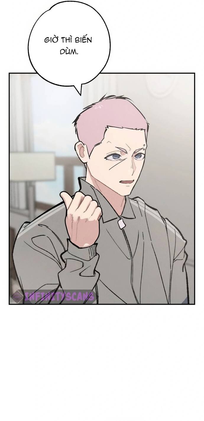 Chàng Rể Quỷ Quyệt Chapter 21 - 47