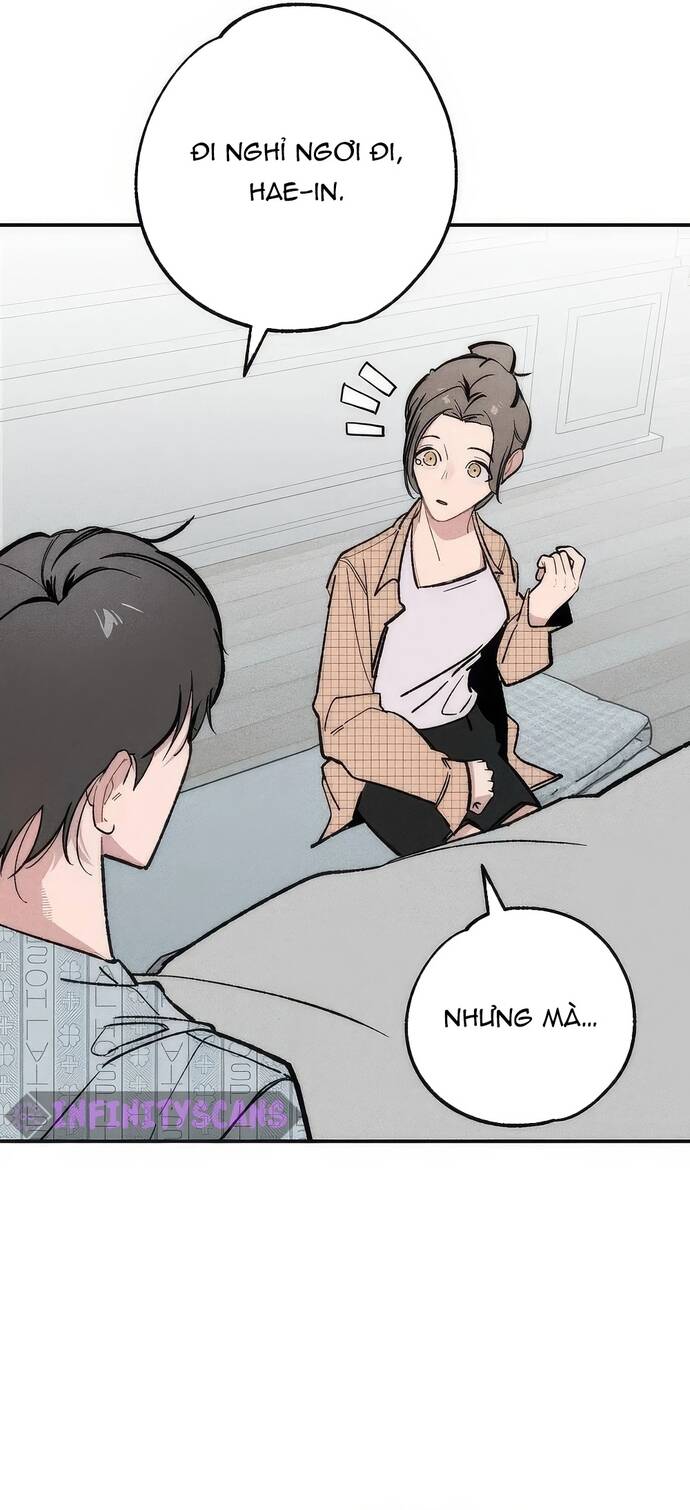 Chàng Rể Quỷ Quyệt Chapter 22 - 17